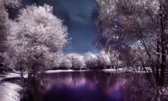 совершенно верно, коллега!