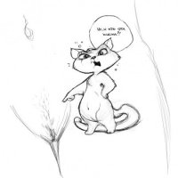 17 котов, о существовании которых знают не все