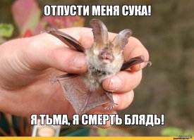 Ужас, летящий на крыльях ночи или милые детки 