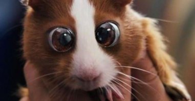 Афтор убейся! Зачем ты это постишь на Фишках - сайте хорошего, пойми ХОРОШЕГО настроения! Вот прочитал я твой высер про большевика-убийцу и что у меня должно это должно создать хорошее настроение. Пиши про котиков и хомячков, если не о чем больше поведать миру. Простите за эмоции, достало