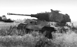 Подбитый немецкий танк Pz.Kpfw. VI Ausf. B «Королевский Тигр» №321 из состава 502-го танкового батальона с орудием от танка «Пантера».

Утром 28.03.1945 во время немецкой контратаки в районе населенного пункта Кюстрин-Китц (Küstrin-Kietz), танк подорвался на мине, потерял ход, но продолжал вести огонь из орудия. В итоге он был добит трофейным «фаустпатроном».

Необычное вооружение танка связано с трудностями снабжения немецких войск в последние месяцы войны. Взамен поврежденного оригинального орудия при ремонте было установлено орудие от танка «Пантера».

А могли и 37-мм от Т-III.