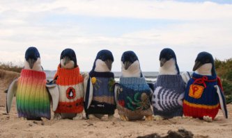 Пони и пингвинов тоже можно принарядить:D