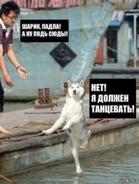 8 танцоров, которые плевать хотели на ваше мнение