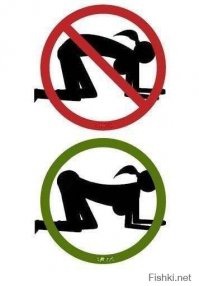 Вот так правильно!