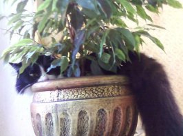 Вот что значит: " Во время достал фотоаппарат"