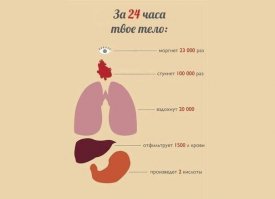 Ну и бредятина. Человек моргает 24 раза в секунду?