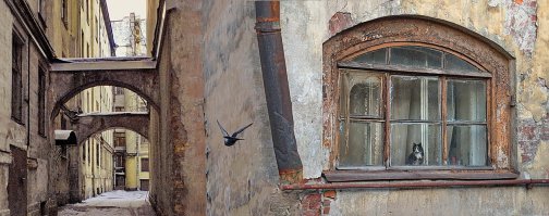 Котам Ленинграда