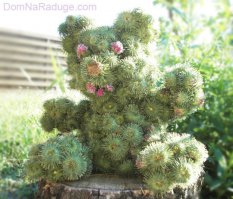 Как девочки портят волосы игрушкой-репеем Bunchems