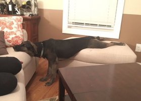 Не благодари.