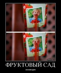 Повседневная жизнь еды и напитков 