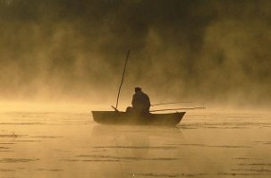 нас и тут не плохо кормят...