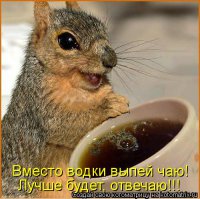 Водочные демотиваторы