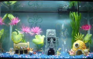 11 самых невероятных аквариумов со всего мира