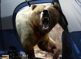 Модульные палаточные города