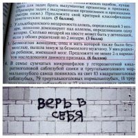 Не менее двух вариантов? Да легко:
Вариант 1. Сосед слева.
Вариант 2. Сосед справа.
Вариант 3. Другие соседЫ.