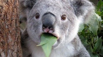 Братуха, вот ты где!