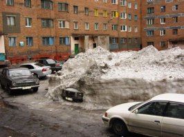 Самые настоящие жадины, над которыми вы будете смеяться до слез 