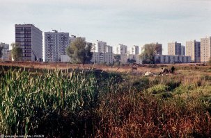История Ховринской больницы

Строительство Ховринской заброшенной больницы началось еще в 1980-х. Изначально планировалось, что крупное медицинское учреждение будет гордостью города, но позже решили, что здание, рассчитанное на 1 300 мест, лучше послужит району, но в 1985 году строительство было прекращено. 

Строили на месте пруда. Не расчитали с грунтом, началось подтопление. Прикрепля фотографии тех мест, до появления больницы.