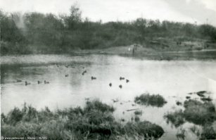 История Ховринской больницы

Строительство Ховринской заброшенной больницы началось еще в 1980-х. Изначально планировалось, что крупное медицинское учреждение будет гордостью города, но позже решили, что здание, рассчитанное на 1 300 мест, лучше послужит району, но в 1985 году строительство было прекращено. 

Строили на месте пруда. Не расчитали с грунтом, началось подтопление. Прикрепля фотографии тех мест, до появления больницы.