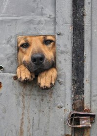 Фотоподборка за 24.11.2015