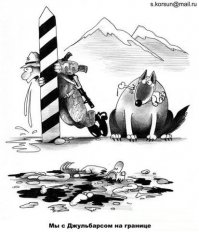 Фотоподборка за 24.11.2015