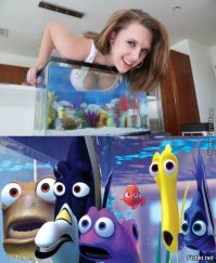 Фотоподборка за 24.11.2015