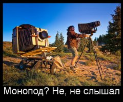 Ненавидите монопод для селфи, но все еще мечтаете об идеальных снимках себя? Попробуйте "селфи-руку"