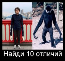 Ненавидите монопод для селфи, но все еще мечтаете об идеальных снимках себя? Попробуйте "селфи-руку"