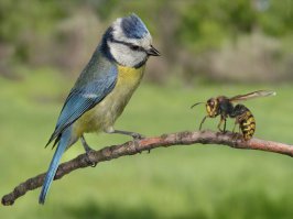 720000 попыток чтобы сделать идеальное фото
