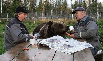 Настоящая идилия человека и медведей