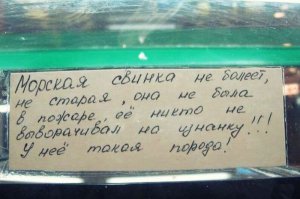 Я б купил: эти гении маркетинга убедят любого!