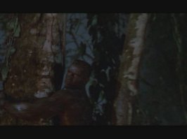 "Лишь для нескольких сцен они построили из пенополистерола и оргстекла пару искусственных, очень толстых деревьев, которых попросту не было в джунглях."
То-то там в одной из финальных сцен Арни висит на березе...