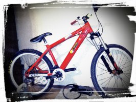 После того как угнали первый велосипед из подъезда, который закрыт на электронный замок, куда посторонние в принципе попасть не могли, свой новый велос за 70к рублей, боюсь даже на минуту оставить на улице под хорошим замком, а вот мой вел, собирал по запчастям:)