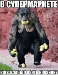 10 лучших фотографий природы со всего мира