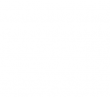 Дымчатый лягушкорот - самая очаровательная птичка в мире