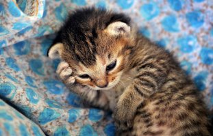 Ну поясните, кому это интересно?