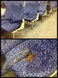 Ну уж лучше такие "провальные" на улицах чем вот такие высокодуховные :)