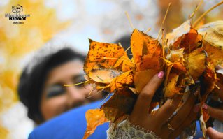 бумаги нет ? выход есть ! ))