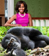 10 самых прекрасных первых леди в мире