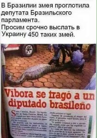 Солянка для Майдана. Часть 127