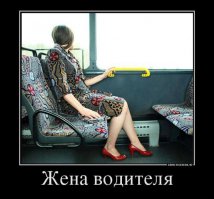 вот еще хамелеон