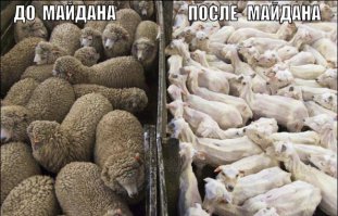 25 потрясающих фотографий, которые способны удивить