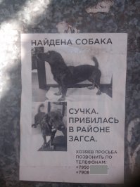 Безумие в чистом виде! 35 безумных свадебных снимков, после которых не захочешь замуж