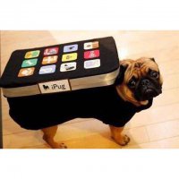 айподаножка...теперь я видела все