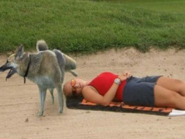 Фотографии, которые могли быть шедеврами, но что-то пошло не так