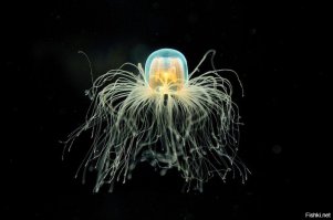 25 потрясающих фотографий, которые способны удивить