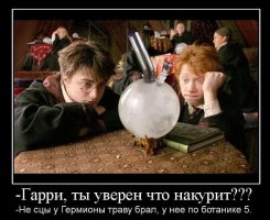 Актеры второго плана из «Гарри Поттера» тогда и сейча