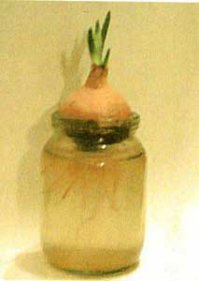 Спагетти в латексе и прочие рецепты: 10 самых странных применений презерватива