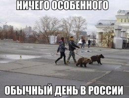 Фотосессия семьи с медведем ввергла западные СМИ в шок