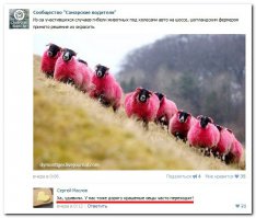 Смешные комментарии из социальных сетей 25.11.15